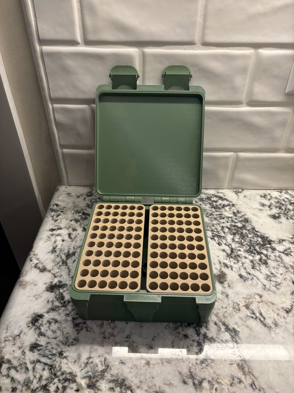 .223 ammo container